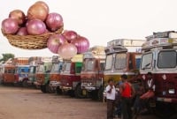 যে তিন কারণে হঠাৎ পেঁয়াজ রপ্তানি বন্ধ করেছে ভারত