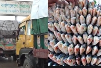  বাংলাদেশ থেকে ভারতে গেল ইলিশের প্রথম চালান