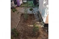 আল্লামা আহমদ শফী সাহেব এর কবর, এতো সাধাসিধা কবর, মাশাল্লাহ