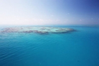  জানলে বিস্মিত হবেন, এটিই পৃথিবীর একমাত্র সমুদ্র যার কোনও তীর নেই!