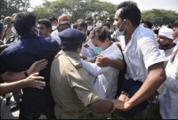 ধস্তাধস্তির পর অবশেষে গ্রেফতার রাহুল গান্ধী!