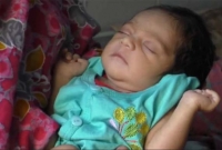 ব্যাগের মধ্যে কুড়িয়ে পাওয়া সেই শিশুর দত্তক পেলেন শিক্ষক দম্পতি