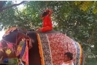 হাতির পিঠে  ব্যায়াম দেখাতে গিয়ে মাটিতে পড়ে মারাত্ম'ক আহ'ত বাবা রামদেব
