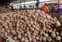 তিনদিন ধরে আলু আসছে না কারওয়ানবাজারে, বিক্রি বন্ধ!