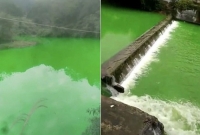তাজ্জব ঘটনা, সকালে ঘুম থেকে উঠে বাসিন্দারা দেখল রঙ বদলে সবুজ হলো নদী! 