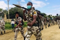 ইথিওপিয়ায় বিমানবন্দরে বিদ্রোহীদের রকেট হামলা