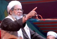 যারা ইসলামের শত্রু, তাদের কবর রচনা করতেই হেফাজতের অভ্যুদয় : বাবুনগরী