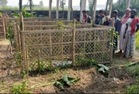 কবরস্থান থেকে একরাতেই সাত লাশ উধাও! কবরস্থান থেকে একরাতেই সাত লাশ উধাও!