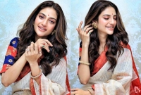 'শুধু ফটো শ্যুট করলেই হবে? কাজও কিছু করুন', কটাক্ষের মুখে নুসরাত