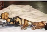 বাবা জেলে, মা-ও নেই, এই দুনিয়ায় বাচ্চাটির একমাত্র বন্ধু কুকুরটি!