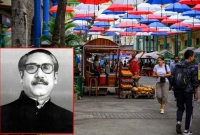 পূর্ব আফ্রিকার দেশ মরিশাসে বঙ্গবন্ধুর নামে সড়কের নামকরণ