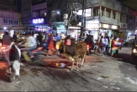 গরু চোর সন্দেহে বিহারে এক মুসলিম যুবককে পিটিয়ে হত্যা