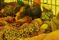  কৃষি আইন বাতিলের দাবিতে ভারতে আন্দোলন, ২৫ কৃষকের মৃত্যু