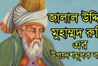 না ঘুমিয়ে অন্তত একটি রাত্রি খোদার রাহে কাটান: সুফি কবি মাওলানা রুমি