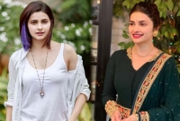 প্রেম বা বিয়ে ছাড়া একত্রে বসবাস; হারিয়ে যাওয়া এক নায়িকার গল্প