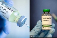 করোনার টিকায় শূকরের জেলাটিন থাকলেও মুসলিমরা এটি গ্রহণ করতে পারবেন: আমিরাতের ইসলামিক বডি