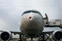 পাখির ঝাঁকের সঙ্গে ধাক্কা, তুর্কি বিমানের জরুরি অবতরণ