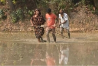 গরু না থাকায় স্ত্রী ও দশম শ্রেণির ছেলেকে দিয়ে মই টানাচ্ছেন কৃষক!