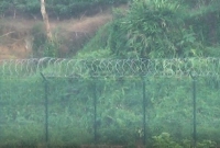 শূন্যরেখায় বিএসএফের কাঁটাতারের বেড়া স্থাপনের চেষ্টা, বিজিবি'র বাধায় কাজ বন্ধ 