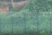 বিজিবি'র বাধায় সীমান্তে কাঁটাতারের বেড়া নির্মাণ বন্ধ করলো বিএসএফ