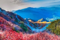 বাংলাদেশ থেকে মাত্র ১১৫ কি.মি দূরে ৫১০০ ফুট উপরে পাহাড় আর সবুজের সাম্রাজ্য