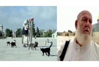 তার মৃত্যুতে কষ্ট পেয়েছে আল-আকসার পশু-পাখিরাও