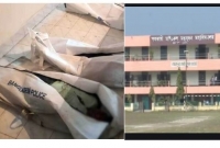 মর্মান্তিক সড়ক দুর্ঘটনায় নিহত ১১ জনের পাঁচজন মাস্টার্সের শিক্ষার্থী