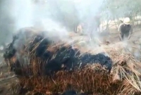 আচমকা খড়ের গাদায় দাউদাউ করে জ্বলে উঠছে আগুন! অশরীরী আতঙ্কে কাঁটা গ্রামবাসীরা