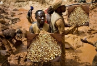 মাটি খুঁড়লেই মিলছে সোনা! কোদাল-শাবল নিয়ে হুলুস্থুল গ্রামবাসীর