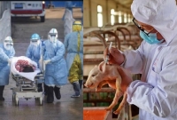  আরেক ভয়ঙ্কর খবর! এবার নতুন আরেকটি ভাইরাস মহামারী আকারে ছড়াচ্ছে চীনে!