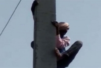 দ্বিতীয় বিয়েতে আপত্তি, বিদ্যুতের খুঁটিতে উঠে পড়ল বিয়ে-পাগল বৃদ্ধ