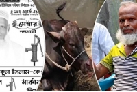 ভোটে হেরে ক্ষোভে গরু চুরি!