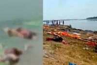 ১০০-এর কাছাকাছি লাশ নদীতে ফেলা হয়েছে!