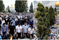 ইসরায়েলকে ঠেকাতে এগিয়ে আসছে আশেপাশের দেশের মানুষ  