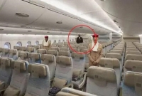 নামমাত্র ভাড়ায় মাত্র ১৮ হাজার টাকায় পুরো বিমানে একাই যাত্রী!