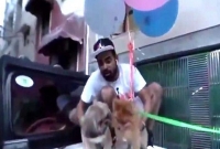 বেলুনে বেঁধে কুকুর উড়িয়ে ইউটিউবার গ্রেফতার