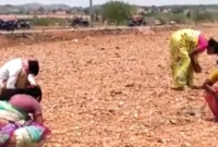 জমি খুঁড়তেই উঠে এল ৩০ ক্যারেটের হীরা! যা নিয়ে শোরগোল পড়ে গেছে এলাকায়