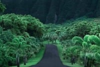 মনে হলো জান্নাতটা কল্পনার চোখে ভাসছে! কতই না বিস্ময়কর আল্লাহর নিজের বলা জান্নাতের বিবরণ! 