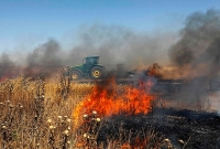 ইসরায়েলি হামলায় ব্যাপকসংখ্যক পোষাপাখি ও গবাদি পশু ধ্বংস, কৃষিখাতে ক্ষতি ২০ কোটি ৪০ লাখ ডলার