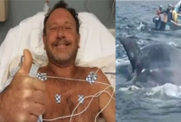 তিমির পেটে গিয়েও জীবিত বেরিয়ে এলেন মাইকেল প্যাকার্ড!