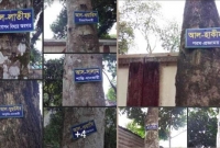 আল্লাহর নাম শোভা পাচ্ছে ফরিদপুরের গাছে গাছে  আল্লাহর নাম শোভা পাচ্ছে ফরিদপুরের গাছে গাছে