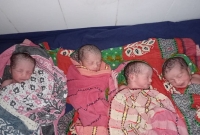 একসঙ্গে চার কন্যাসন্তানের জন্ম, সুস্থ আছে সকলেই