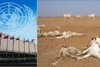 বড় দুঃসংবাদ! আসছে ভ'য়ঙ্ক'র এক খরা 'অতিমা'রী', হুঁ'শিয়ারি জাতিসঙ্ঘের 