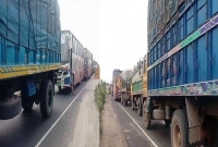 ২০ কিলোমিটার এলাকাজুড়ে যানজট, চরম ভোগান্তিতে নারী, শিশু ও গরু ব্যবসায়ীরা