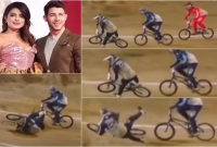 বাইক চালাতে গিয়ে প্রিয়াঙ্কার স্বামী নিক আহত