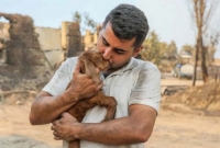 তুরস্কে ভয়াবহ দাবানলের আগুনের মধ্যেও জীবিত 'ছাগল ছানা'