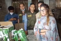 তিন দিনের রিমান্ডে মডেল মৌ