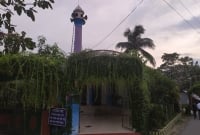 গাছ-গাছালিতে ঘেরা অপরূপ শাহী জামে মসজিদ!