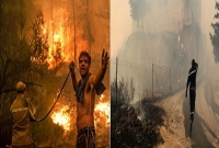 ২৫ সেনাসহ ৪২ জন মারা গেল ভয়াবহ দাবানলে 