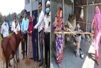 ৩২ বছর যাবত ঘানি টানছেন মা, ৭ বছর যাবত মেয়ে! গরু উপহার দিয়ে সহায়তার হাত বাড়ালেন আব্দুল মজিদ